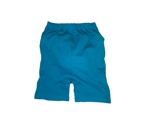 2 Blue Shorts 1 1