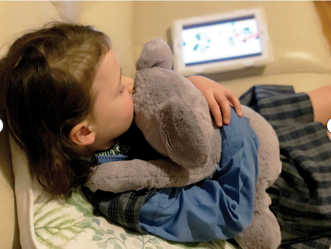 Boy with calming koala