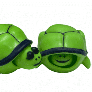 _tucker the pop head turtle fidget