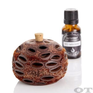 Mini Banksia Pod Diffuser