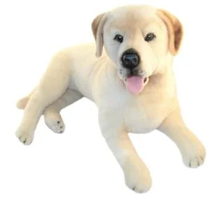 weighted toy dog beau labrador