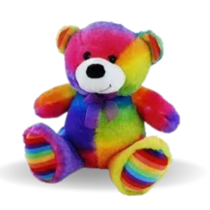 weighted toy Rainbow bear 2kg