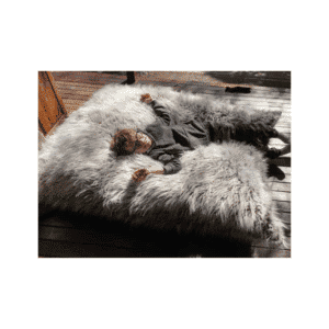 Kloudsac 3-in-1 Hammock SafeSac™ Brown Faux Fur