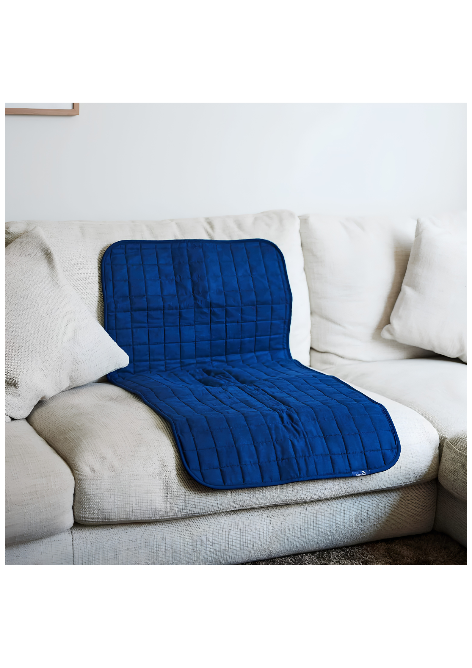 Car Seat or Couch Cover-3